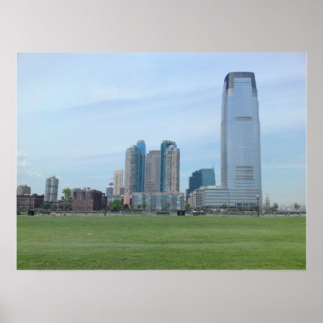 From LSP Poster (Front)