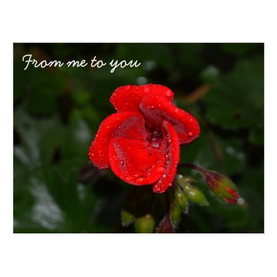 From me to you, postcard