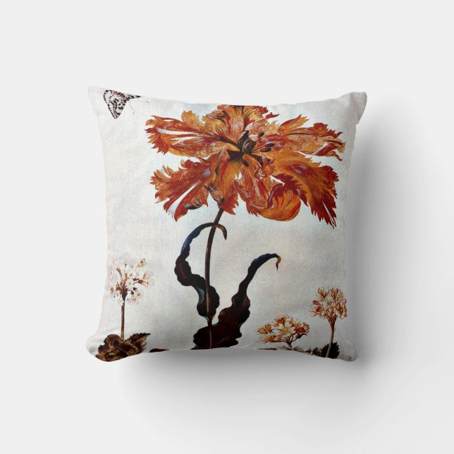 From Metamorphosis Insectorum Surinamensium Throw Pillow (Front)