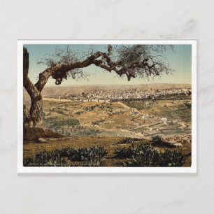 From Mount Scopus, Jerusalem, Holy Land classic Ph Postcard