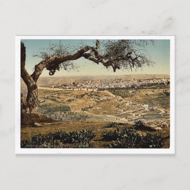 From Mount Scopus, Jerusalem, Holy Land classic Ph Postcard (Front)
