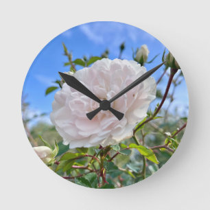 From my mom's garden round clock