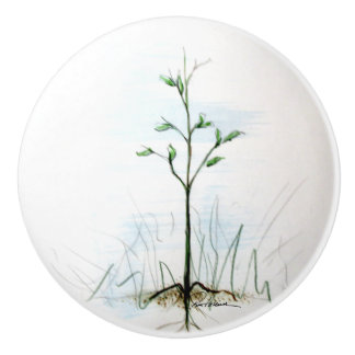 From One Seed, All Things Grow Ceramic Knob