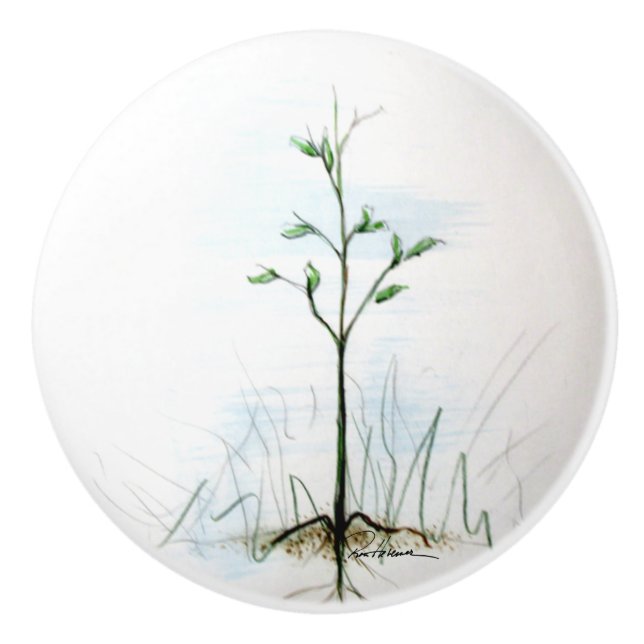 From One Seed, All Things Grow Ceramic Knob (Front)