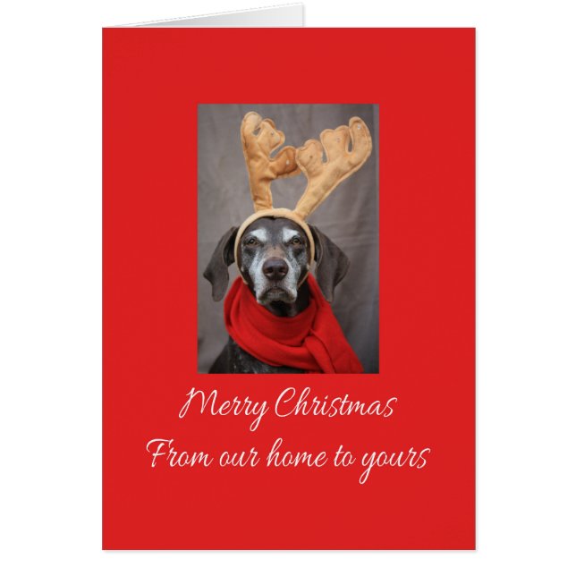 From our Home to Yours.. Christmas card (Front)