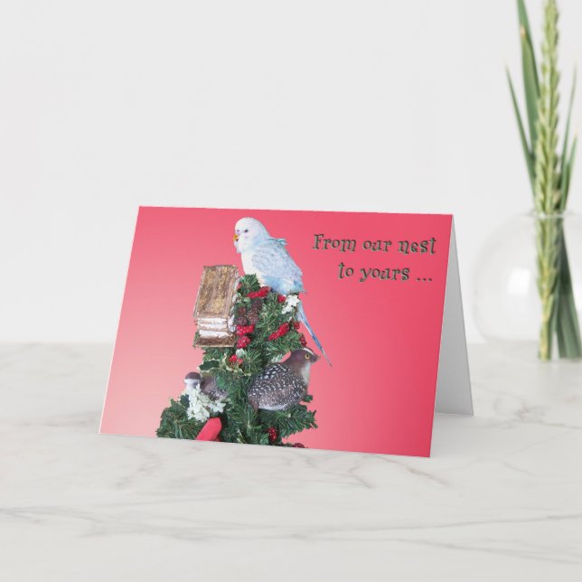 From OUR Nest Holiday Card (Front)