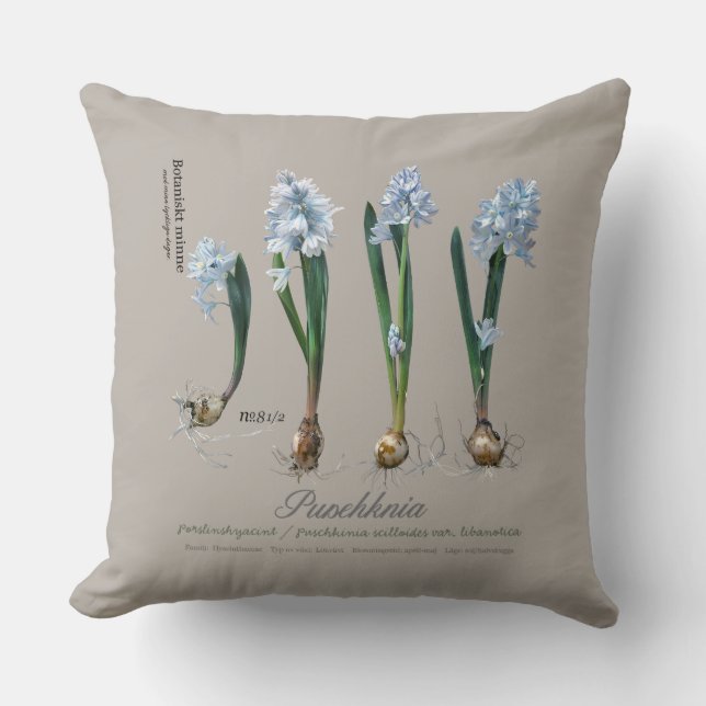 From our perennial garden. throw pillow (Front)