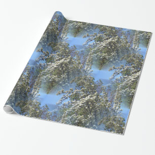 From out of the sky... wrapping paper