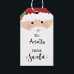From Santa Christmas Gift Tag<br><div class="desc">Cute from Santa gift tag features a cheerful Santa with the to and from on top of his white beard. Cute Santa signature looks like Santa signature. A cute way to personalize Christmas gifts.</div>