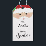 From Santa Christmas Gift Tag<br><div class="desc">Cute from Santa gift tag features a cheerful Santa with the to and from on top of his white beard. Cute Santa signature looks like Santa signature. A cute way to personalize Christmas gifts.</div>