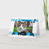 from the Cat Birthday Blue Pet's Photo and Name