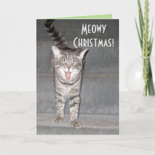 From the Cat Christmas Card