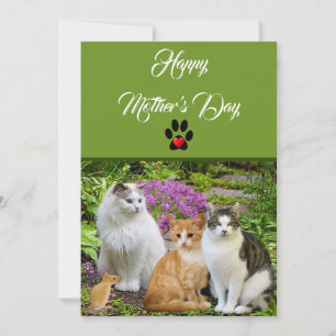 From The Cat Happy Mother's Day Flat Card