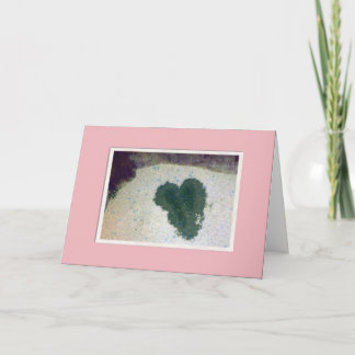 From the Cat Holiday Card