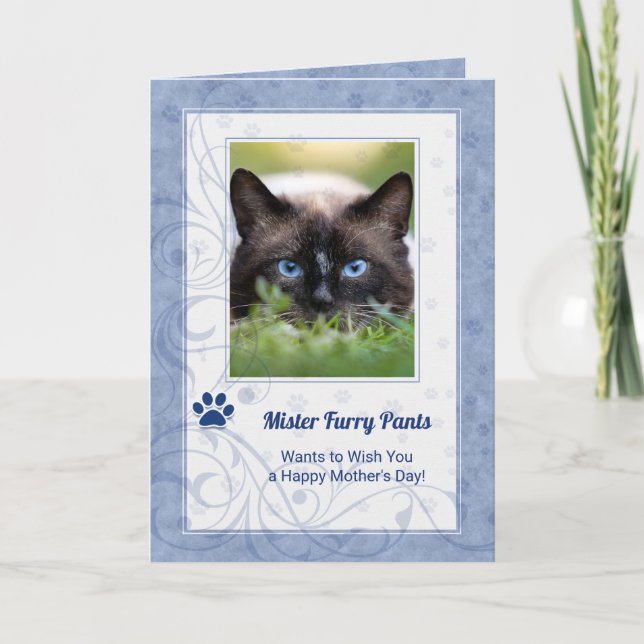 from the Cat Mother's Day in Periwinkle Blue Photo Card (Front)