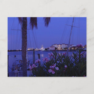 From the Cove Postcard