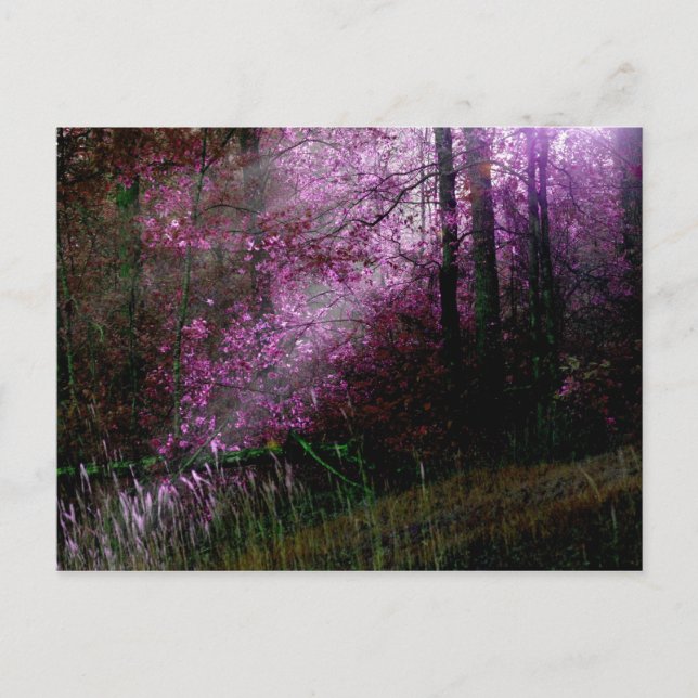 From the Darkness Postcard (Front)