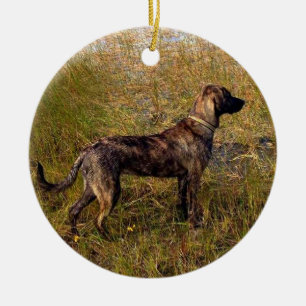 From the Dog Custom Ornament