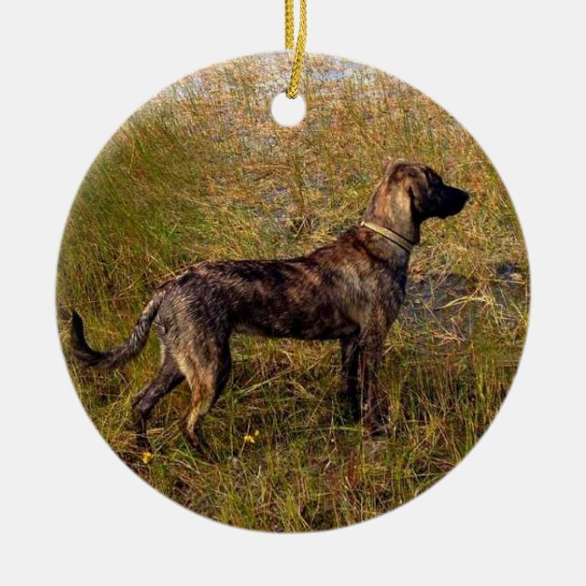 From the Dog Custom Ornament (Front)