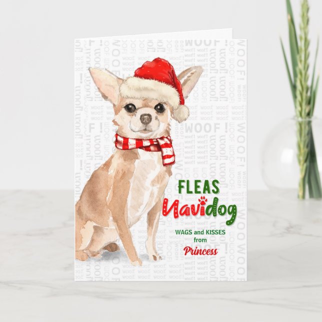 from the Dog Funny Chihuahua Christmas Holiday Card (Front)