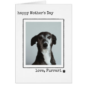 From the Dog Minimalist Mother's Day Photo Card
