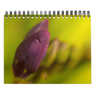 From the earth abundant calendar