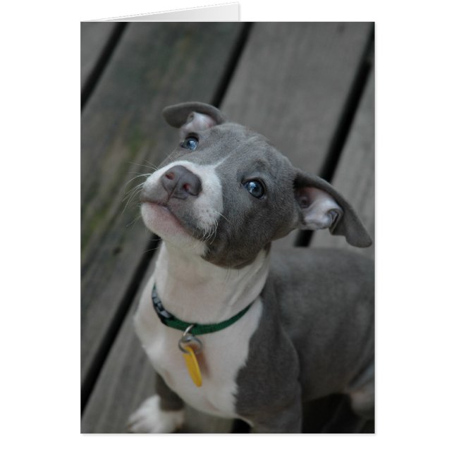 From the heart (Front)