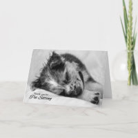 From the Pet Thank You for Pet Sitting