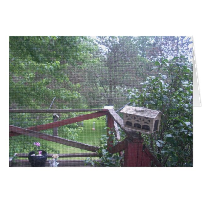 From the Porch Door (Front Horizontal)