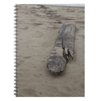 From the Sea Notebook