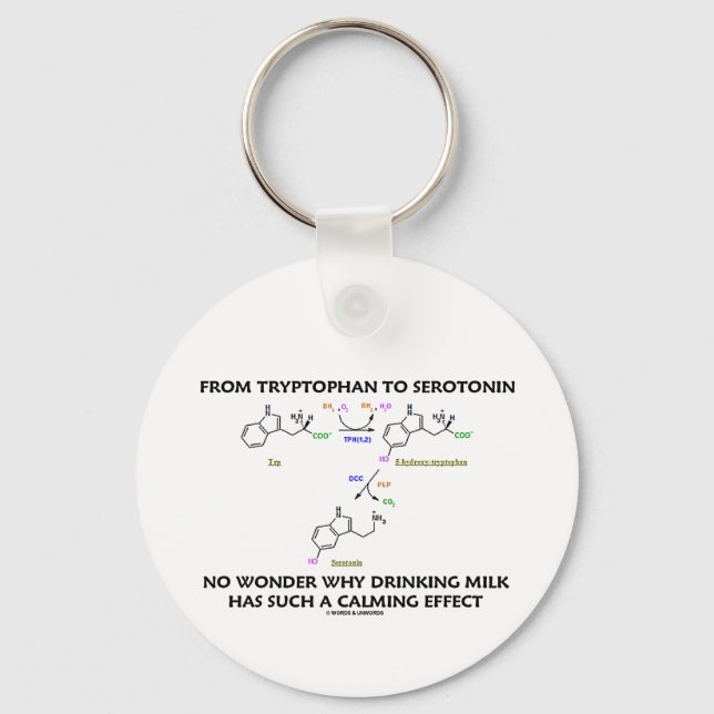 From Tryptophan To Serotonin (Chemistry Humour) Keychain (Front)
