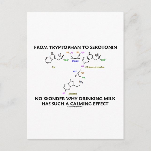 From Tryptophan To Serotonin (Chemistry Humour) Postcard (Front)