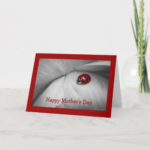 From Your Little Doodle Bug Card