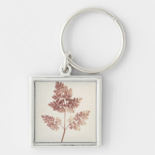 Fronds of Leaves, 1843 (b/w photo) Keychain