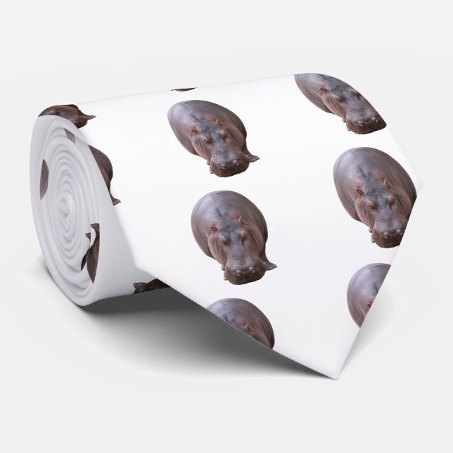 front-facing cover tie (Rolled)