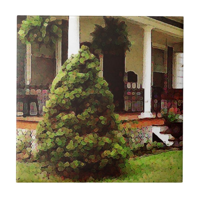 Front porch tile (Front)