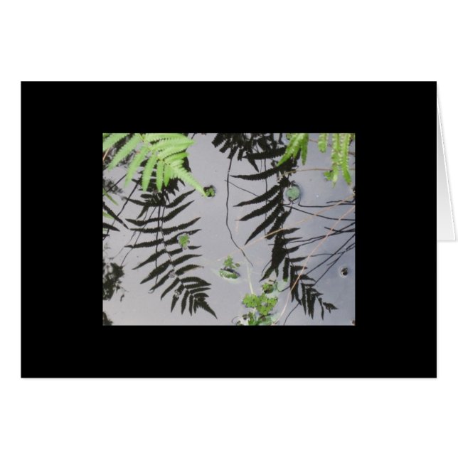 Front Reflections (Front Horizontal)