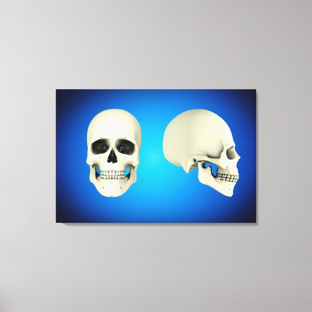 Front View And Side View Of Human Skull Canvas Print (Front)