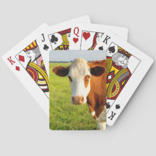 Front view Friesian cow Playing Cards