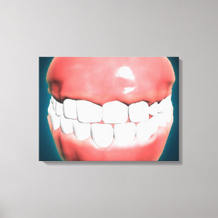 Front View Of Human Mouth With Teeth And Gums Canvas Print