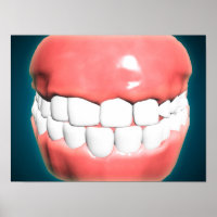 Front View Of Human Mouth With Teeth And Gums