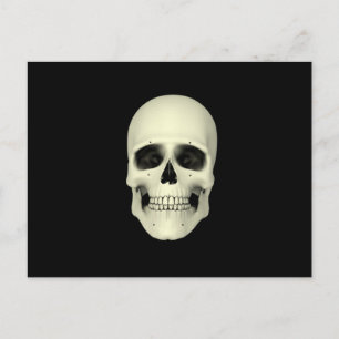 Front View Of Human Skull Postcard