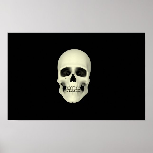 Front View Of Human Skull Poster (Front)