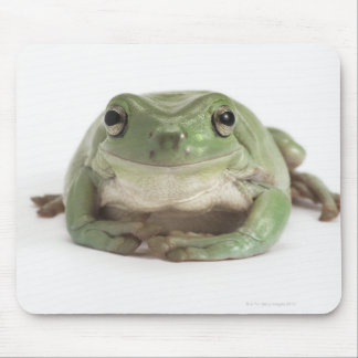 Front View Studio shot of a Smiling, Whites Tree Mouse Pad