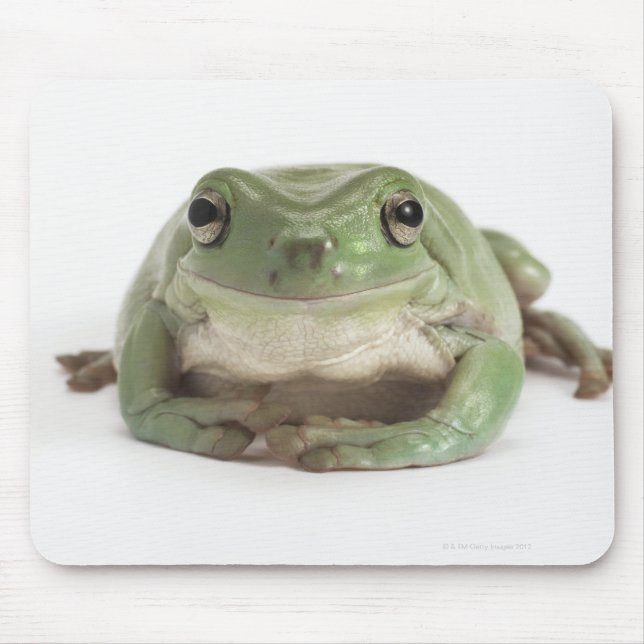 Front View Studio shot of a Smiling, Whites Tree Mouse Pad (Front)