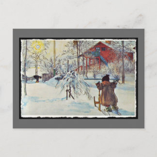 Front Yard and Wash House Postcard
