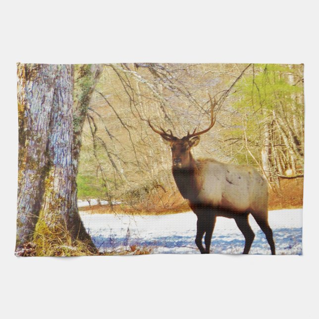 > frontal Bull elk in Snow Kitchen Towel (Horizontal)
