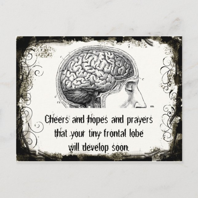 Frontal Lobe Haiku Postcards (Front)