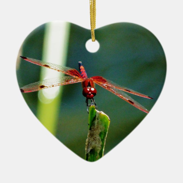 Frontal Red and Black Dragonfly Ceramic Ornament (Front)