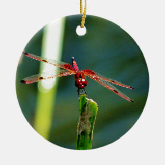 Frontal Red and Black Dragonfly Ceramic Ornament
